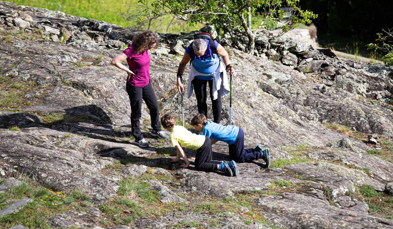 Cercando le incisioni rupestri al Dos de la Forca