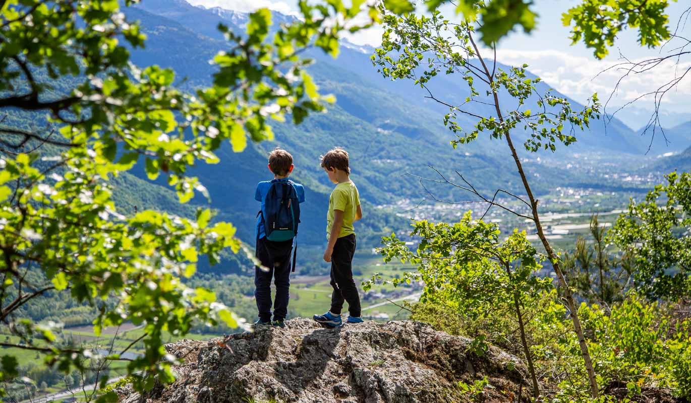 Vista sulla Valtellina