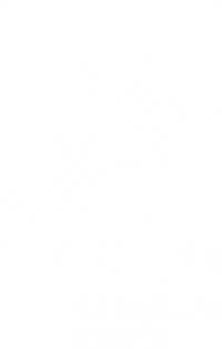 Logo Teglio Turismo